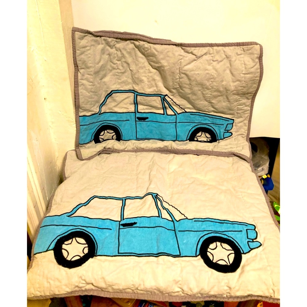 Land of Nod pillow shams